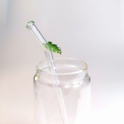 Szklana słomka z ozdobną szklaną zieloną gałązką - pocichutku.pl