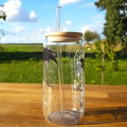 Szklany kubek 550  ml z pokrywką i słomką - Fourth wing czwarte skrzydło - pocichutku.pl
